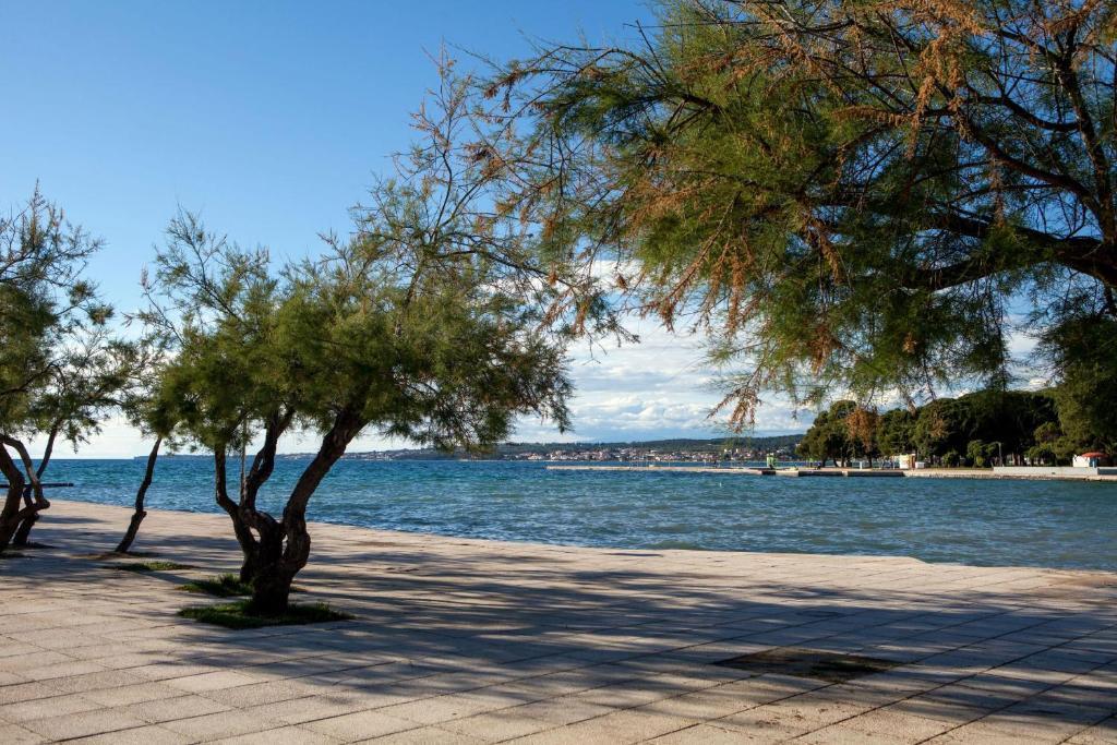 Cvita * Zadar